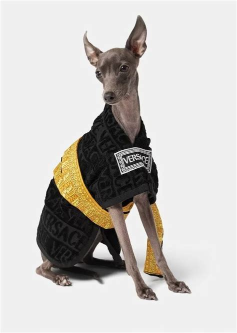 versace dog robe|versace robe discount.